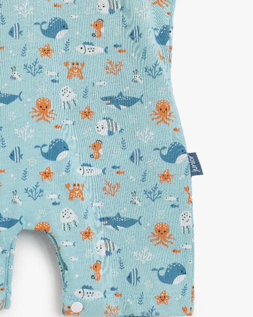 Junior Baby Ruffle Romper