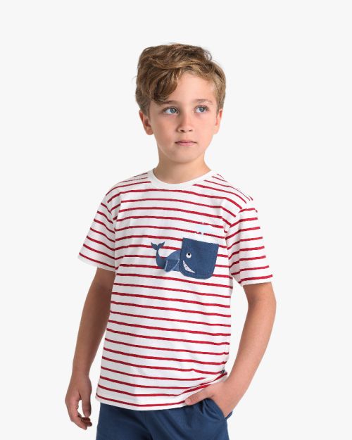 Boys Striped T-Shirt With Jogger Pants Set