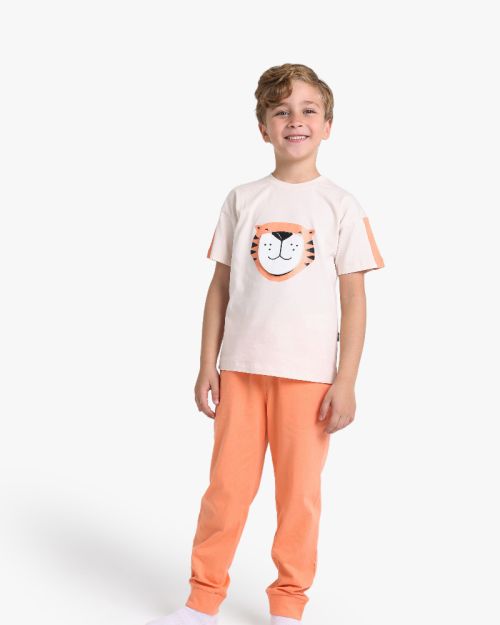 Boys Tiger Graphic T-Shirt With Jogger Pants Set