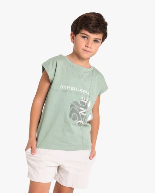 Boys Printed T-Shirt With Shorts Set