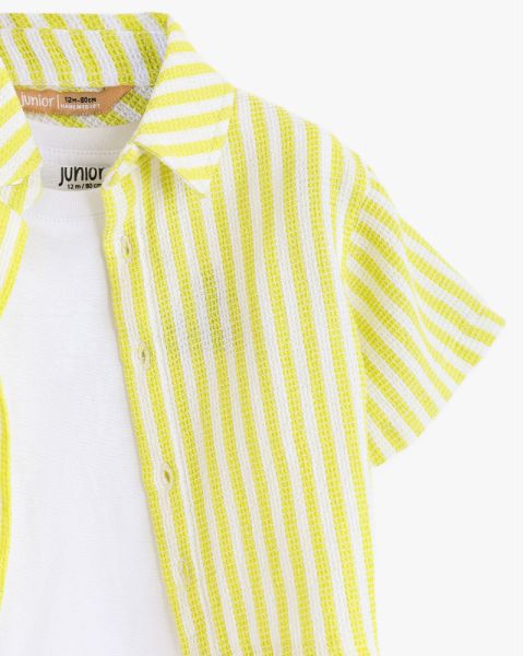 Vertical Striped Shirt